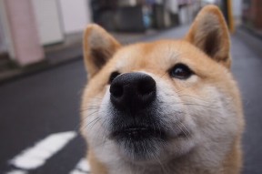 开云体育app下载-中国男篮全面提升转换进攻精度，中国男篮规划