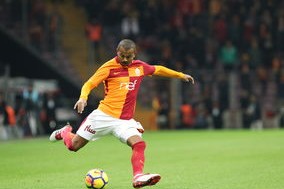 开云体育app入口-技术雷达图揭示蝶泳顶尖选手稳定性，蝶泳技术分析