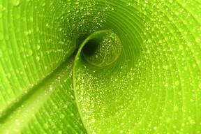 kaiyun开云体育-训练方法多元化促进运动员全面发展，多元化锻炼