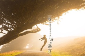 开云在线入口-球员心理辅导资源缺乏专业支持