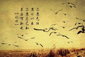 开云体育登录入口-纽卡斯尔客场表现回暖力争反弹，纽卡斯尔首发