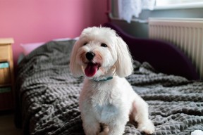 开云体育app-恩比德反击中完成暴扣全场沸腾，恩比德爆发