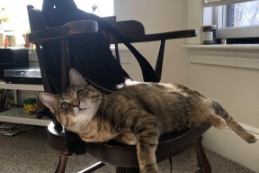 开云体育app在线-职业与草根并举为中国足球打开新路径，对中国职业足球的看法