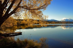 开云体育网址-中国女篮在高强度比赛中保持体能优势，中国女篮体能训练