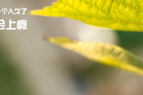 开云体育app官网-多项足球产业扶持政策出台，助推行业高速发展，政府对足球发展的补贴