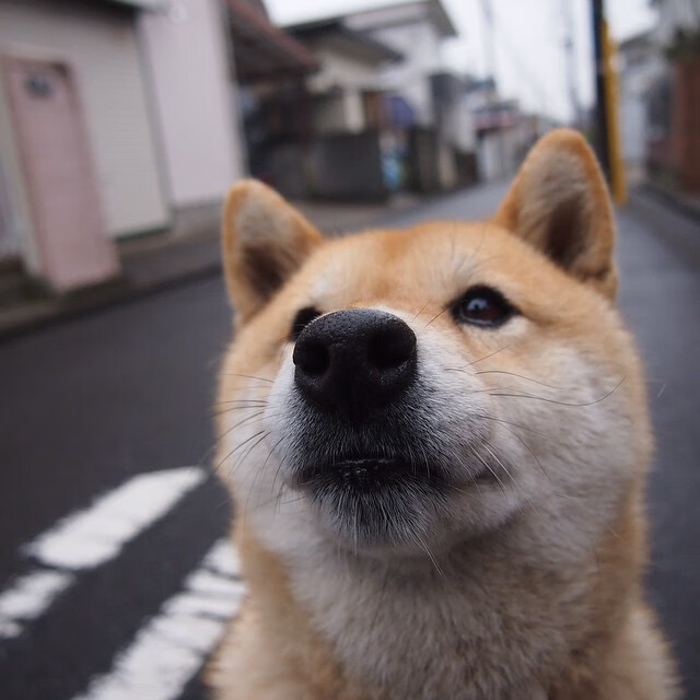 中国男篮全面提升转换进攻精度,中国男篮规划