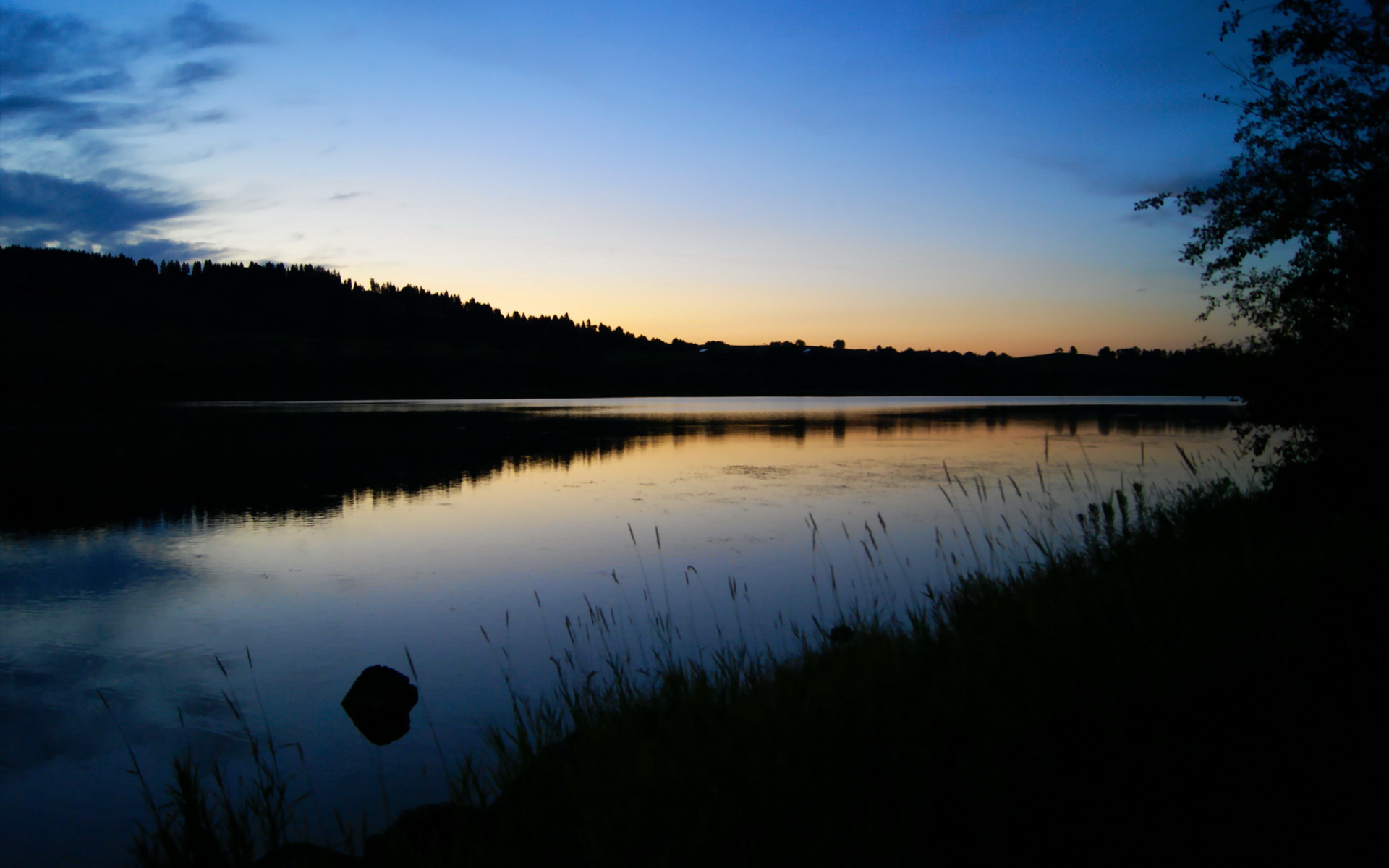 纽卡斯尔客场表现回暖力争反弹,纽卡斯尔首发