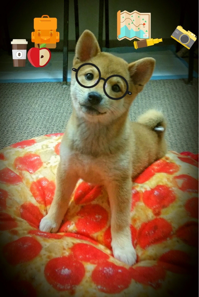 凯尔特人上线互动直播拉近粉丝距离,凯尔特人怎么没有视频直播