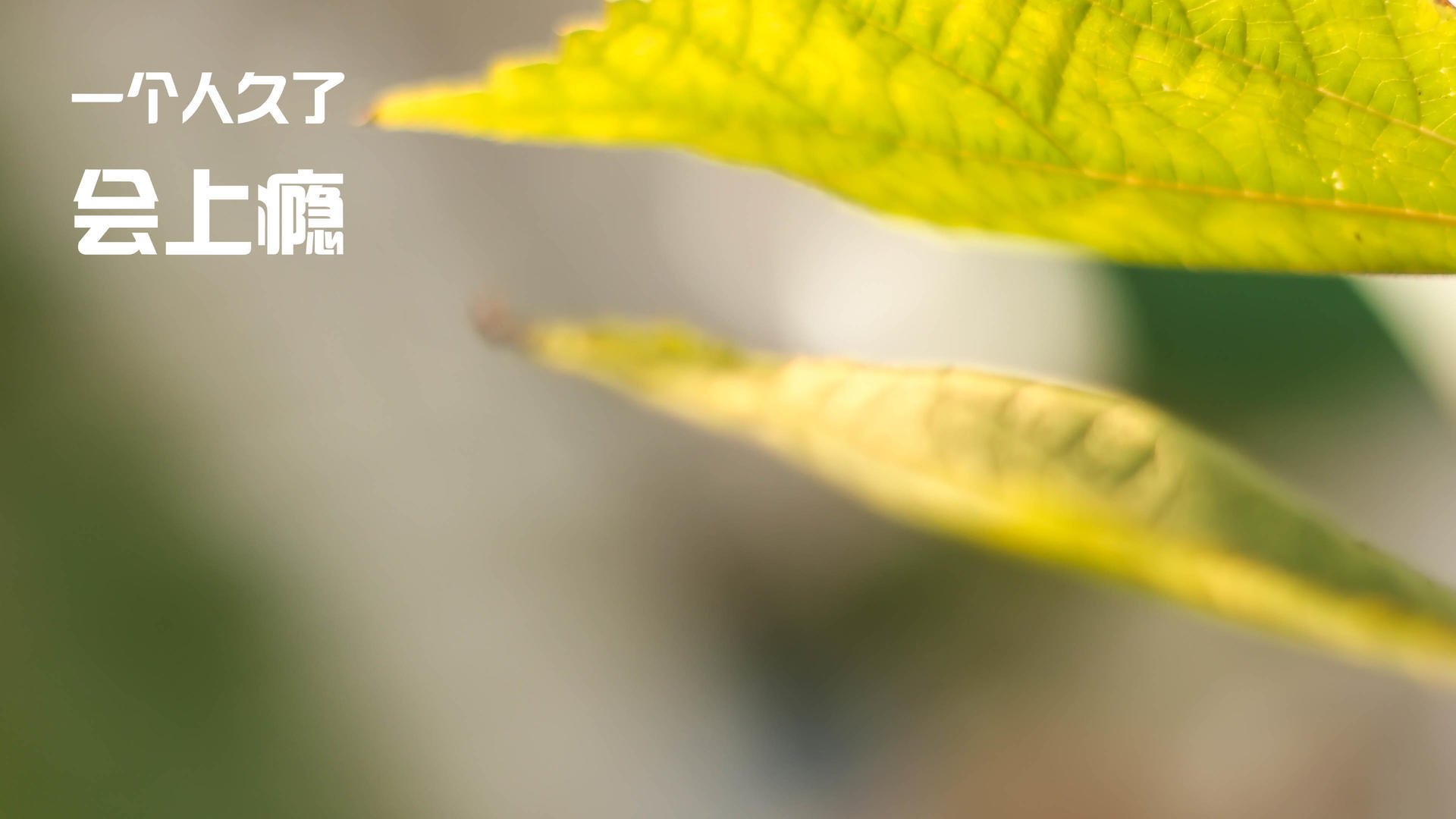 多项足球产业扶持政策出台,助推行业高速发展,政府对足球发展的补贴