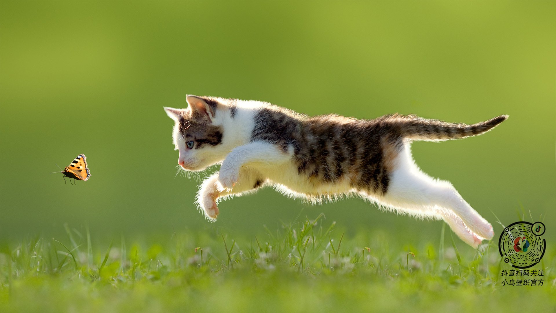 巴雷特：全黑队进攻的智囊，帮助球队打开对方防线，巴雷特实拍