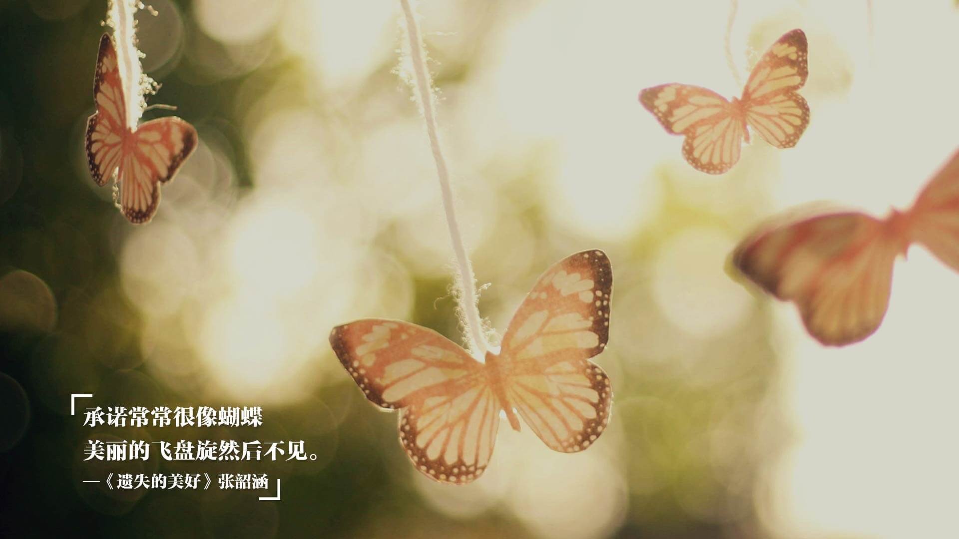 弗朗索瓦·斯图尔特:凭借精准的脚法,推动南非队攻防有序,弗朗索瓦恩格勒特