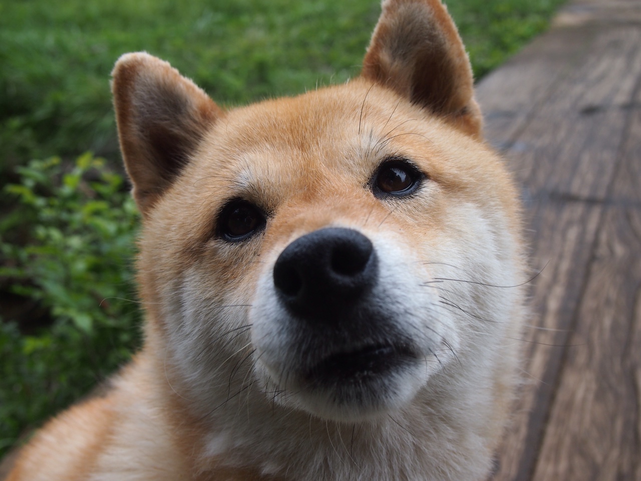科贝特优雅泳姿背后蕴藏惊人实力,科特贝德机电设备(北京)有限公司