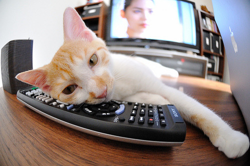 美洲杯明星绽放:突破、助攻精彩纷呈!,美洲杯出场名单