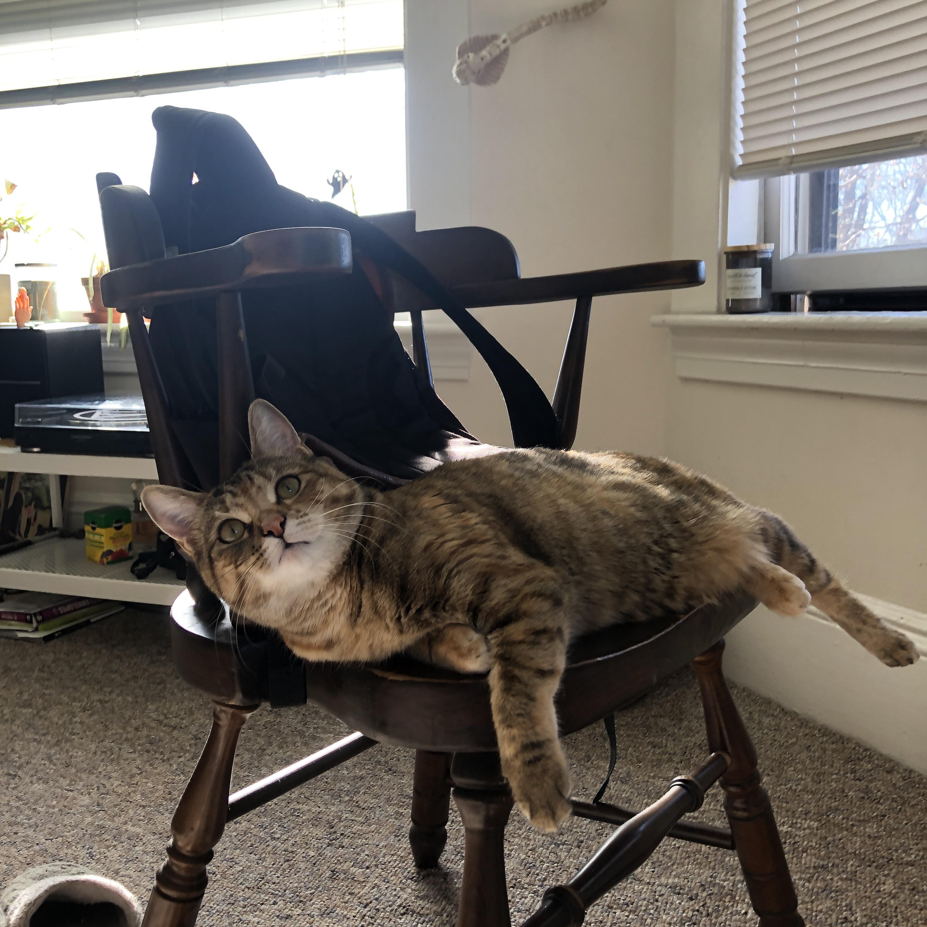 职业与草根并举为中国足球打开新路径,对中国职业足球的看法